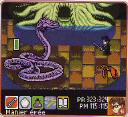 images_du_jeux.jpg